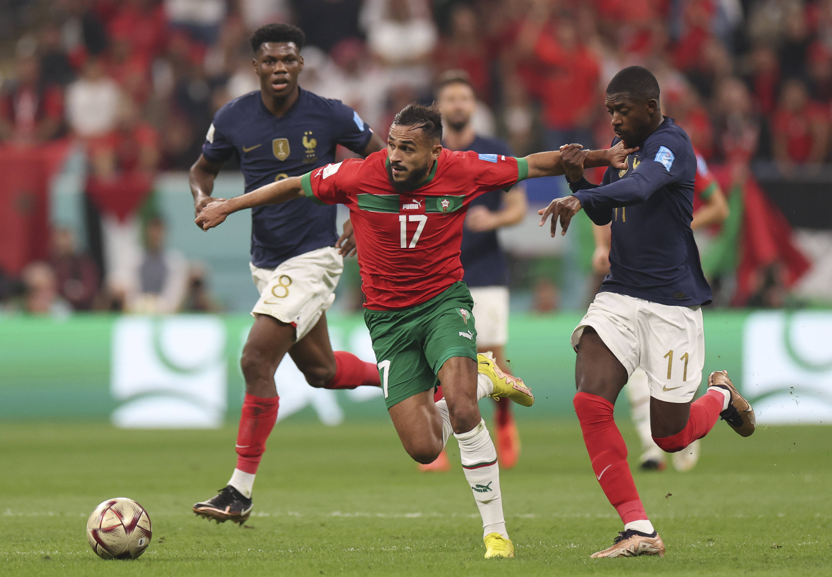 皮耶罗曾在 皮耶罗曾在