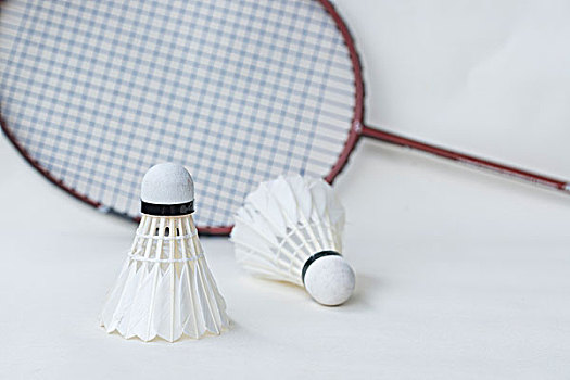 的个人经历 的个人经历